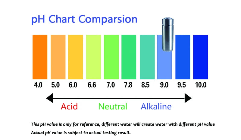 V8 Alkaline pH 9.5 Stainless Alkaline Water Ionizer Bottle -300ml